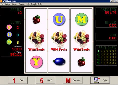 fruit bonus 96 slot machine cheats/